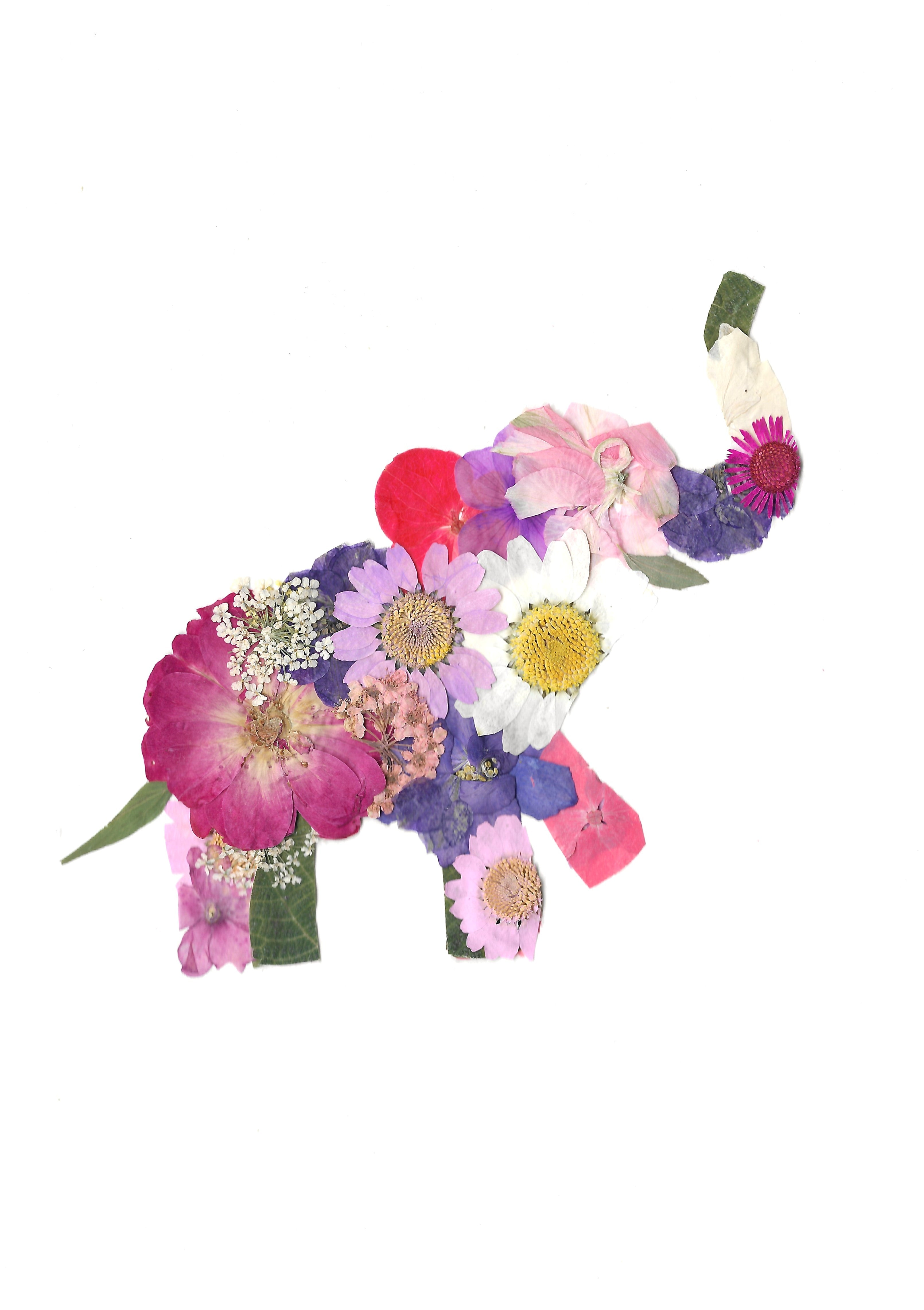 Heirloom Pressed Floral Originals